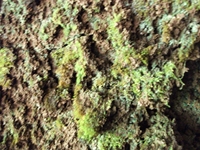 otta monte Cicirello-22042012 061